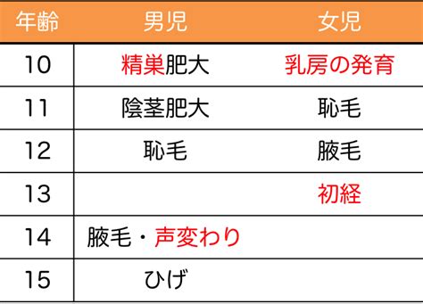 タナー段階|第二次性徴